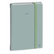 3371010544066-Quo Vadis - Agenda - Daily 21 Color - Journalier - Multilingue - Pastel - Vert clair - 12 mois de janvier à décembre - 15x21 cm - Papier Clairefontaine blanc - Fabri--0