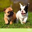 3494150184876-Calendrier mensuel 30X30cm CHIOTS - 16 mois Aquarupella--0