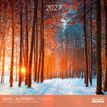 3494150184920-Calendrier mensuel 30X30cm DANS LES FORETS - 16 mois Aquarupella--0