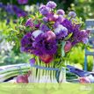3494150185149-Calendrier mensuel 30X30cm PARFUMS DE FLEURS - 16 mois Aquarupella--0
