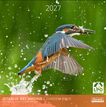 3494150185125-Calendrier mensuel 30X30cm OISEAUX DES JARDINS - PARTENARIART LPO --0