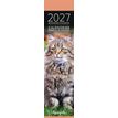 3494150186566-Calendrier marque-pages mensuel 4X16cm CHAT PHOTOS --0