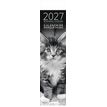3494150186573-Calendrier marque-pages mensuel 4X16cm CHAT N&B PHOTOS --0