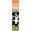 3494150186597-Calendrier marque-pages mensuel 4X16cm CHIOTS PHOTOS --0