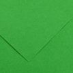 3148954222004-CANSON - 25 Feuilles Iris Vivaldi 50 x 65 cm - 120 g - Vert Franc--0