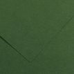 3148954222028-CANSON - 25 Feuilles Iris Vivaldi 50 x 65 cm - 120 g - Vert Sapin--0