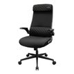 4710483777707-Fauteuil de bureau Cougar Stryder - Accoudoirs rabattables - Appuie-tête réglable - noir--2