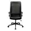 4710483777707-Fauteuil de bureau Cougar Stryder - Accoudoirs rabattables - Appuie-tête réglable - noir--6