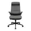 4710483777714-Fauteuil de bureau Cougar Stryder - Accoudoirs rabattables - Appuie-tête réglable - gris--1