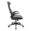 4710483777714-Fauteuil de bureau Cougar Stryder - Accoudoirs rabattables - Appuie-tête réglable - gris--3