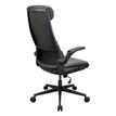 4710483777714-Fauteuil de bureau Cougar Stryder - Accoudoirs rabattables - Appuie-tête réglable - gris--4