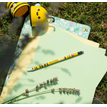8052694123567-Legami I Used To Be a Newspaper - Crayon à papier - HB - Avec gomme - Teddy Cherry--3