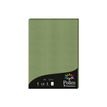 3329680042719-Pollen - 50 Feuilles papier couleur - A4 (21 x 29,7 cm) - 120 g/m² - vert sauge--0