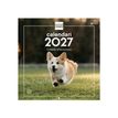 8422952424871-Finocam Calendario Imágenes De Pared 30X30 Para Escribir 2027 – 300 x 300 mm--0