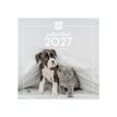 8422952424857-Finocam Calendario Imágenes De Pared 30X30 Para Escribir 2027 – 300 x 300 mm--0