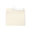Pollen - Enveloppe - International C6 (114 x 162 mm) - portefeuille - open zijkant - zelfklevend - afdrukbaar - iriserend room - pak van 20