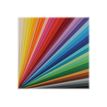 CANSON Colorline 38 - Tekenpapier - 500 x 650 mm - zwart