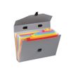 Viquel Rainbow Touch - Uitbreidende map - 10 compartimenten - 10 onderdelen - A4 - met tabbladen - landschap - gray with multicolor interior