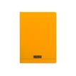 Calligraphe 8000 - Notitieboek - geniet - A4 - 48 vellen / 96 pagina's - van ruiten voorzien - oranje - polypropyleen (PP)