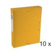 Exacompta Exabox - 10 Boîtes de classement en carte lustrée - dos 60 mm - jaune