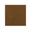 3148953314847-Canson Mi-Teintes - Papier à dessin - 500 x 650 mm - 10 feuilles - tabac-P_511224_1-0