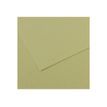 3148953211641-Canson Mi-Teintes - Papier à dessin - 500 x 650 mm - 10 feuilles - vert clair-P_511226_1-0