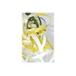 3065506015016-Maildor - Bolduc mat - ruban d'emballage 10 mm x 250 m - blanc-P_601501_4-3