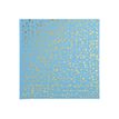 Exacompta Plum' - Album photos 25 x 25 cm - 30 pages - turquoise