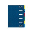Exacompta Nature Future Harmonika - Ordnermap - uit te breiden - 6 compartimenten - 6 onderdelen - A4 - met tabbladen - blauw gevlekt