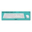 5099206092570-Logitech MK295 Silent - Ensemble clavier et souris - blanc cassé-P_674626_15-14