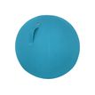 Leitz Ergo Cosy Active - Ballon d'assise - diamètre de 65 cm - bleu calme