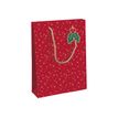 Clairefontaine - Sac cadeau kraft - holly rouge et vert - 26,5 cm x 14 cm x 33 cm