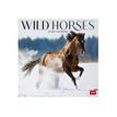 Legami - Calendrier mensuel - 30 x 29 cm - chevaux sauvages