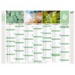 3371010274871-Quo Vadis Equology - Calendrier recyclé 7 mois par face - 40,5 x 55 cm--3