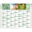 3371010263967-Quo Vadis Equology - Calendrier recyclé 7 mois par face - 33,5 x 43 cm--1