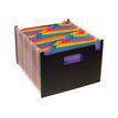 3135251109879-Viquel Rainbow Class Seatcase - Trieur extensible 24 positions-P_79144252_1-0