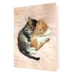 3108720615515-Agenda Chaton 1 jour par page - 12,5 x 17,5 cm - 2 décors au choix - Oberthur-P_79149932_1-0