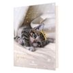 3108720615515-Agenda Chaton 1 jour par page - 12,5 x 17,5 cm - 2 décors au choix - Oberthur-P_79149932_2-1