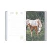 3108720615324-Agenda Cheval - 1 jour par page - 12,5 x 17,5 cm - Oberthur-P_79149965_2-1