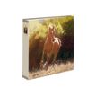 3108720598320-Oberthur Cheval Galop - Classeur à levier - Dos 80 mm-P_79149968_1-0