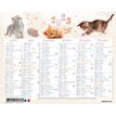 3664447125725-Oberthur - Mini calendrier 6 mois par face - différents motifs disponibles-P_79151590_2-1