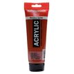 8712079254827-Amsterdam Standard Series Colores Acrílicos Tubo 250 ml Tierra de Siena Tostada 411 (17124110)--0