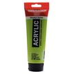 8712079254919-Amsterdam Standard Series Colores Acrílicos Tubo 250 ml Verde Amarillento 617 (17126170)--0