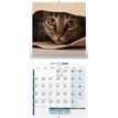 3592930027020-Calendrier illustré BOUCHUT 30 x 30 cm MON CHAT Pefc 70 %--1