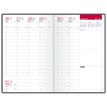 3147281936905-Agenda Oxford Voyage - 1 semaine sur 2 pages - 16 x 24 cm - différentes couleurs disponibl-P_79348577_7-6