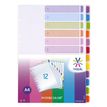 3135251583570-Viquel Intercolor - Intercalaire 12 positions - A4 - polypropylène coloré-P_79348701_2-1