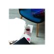 3135256019074-Viquel Envy - Classeur à levier - Dos 70 mm - A4 Maxi - rayures-P_79356164_6-3