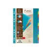 3130630027126-Exacompta Forever - Intercalaire 12 positions - A4 - polypropylène-P_79359199_4-5