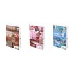 3020120008998-Agenda Scolaire PAYSAGES URBAINS - 12x17cm - 3 décors - Hamelin--0