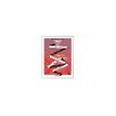 3660412042264-INOVSHOP - Cadre d'affichage A3 - disponible dans différentes couleurs-P_79375734_2-1
